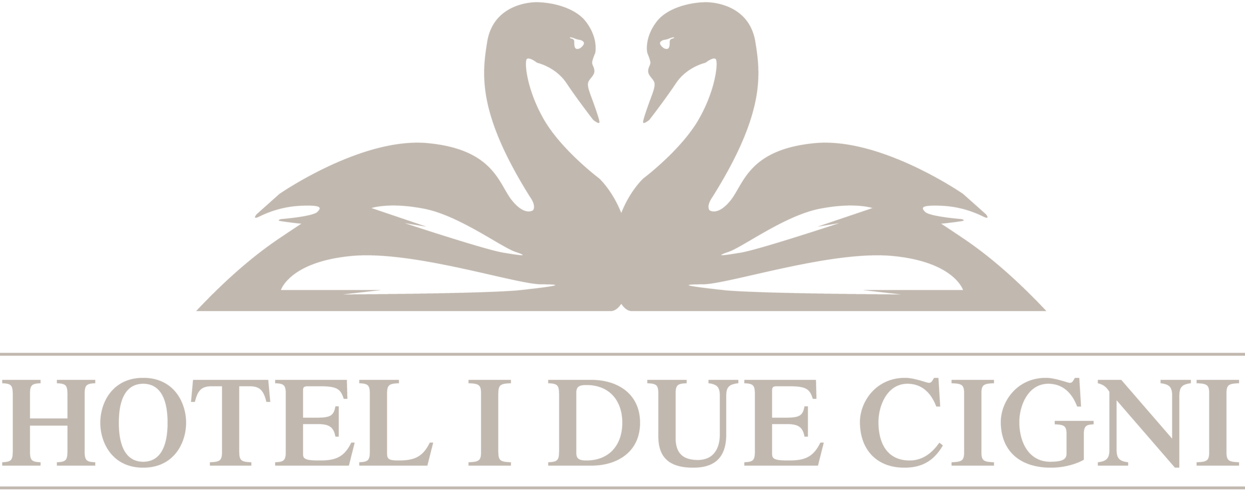 loader image